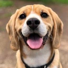 Swiss/Ruandi Ferdinand