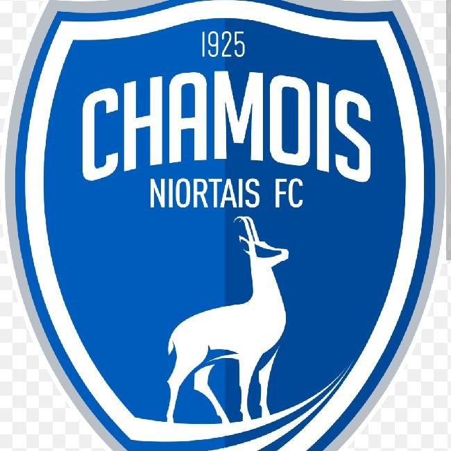 Chamois Niortais