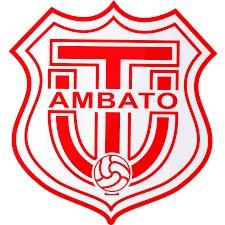 Técnico Universitario