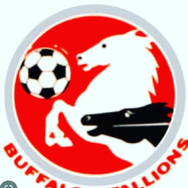 Búfalo Stallions
