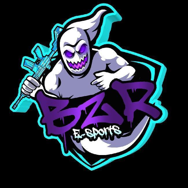 BZR E-SPORTS/ bzr