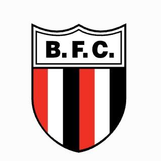 Botafogo-SP