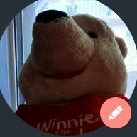 Winnie The Pooh Senior