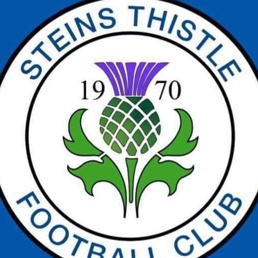 Stein's thistle