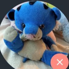 Bluey