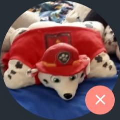 Paw Patrol