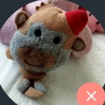 Piggy