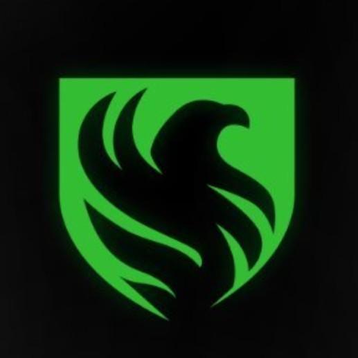Falcons