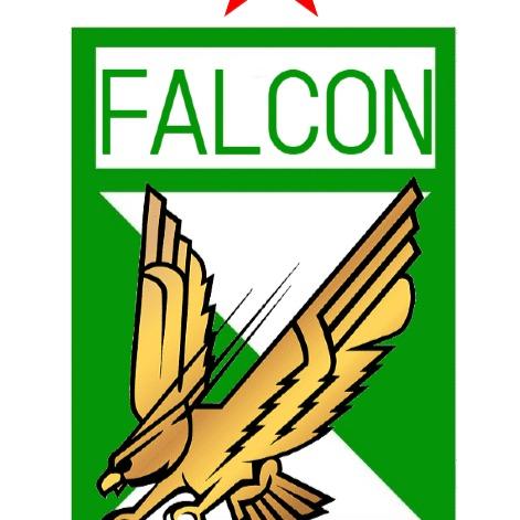 Falcon