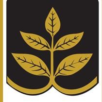 Akiz Group
