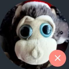 Monkey Big Eyes