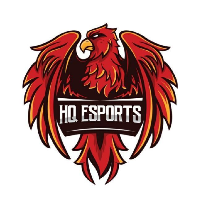 HQ E-SPORTS