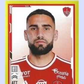 Romain del castillo