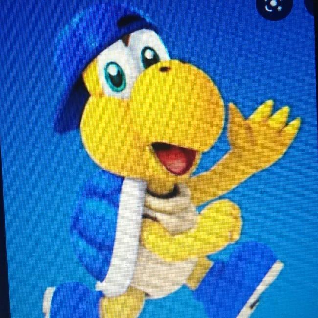 Koopa course