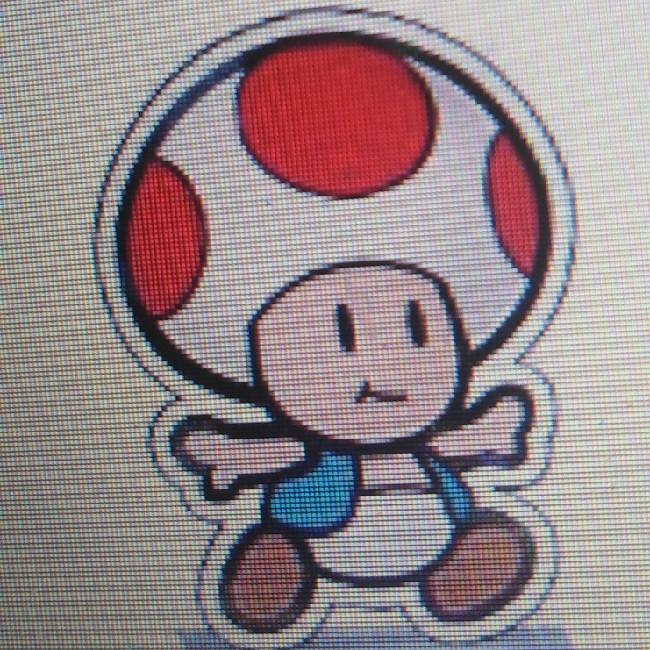 Paper Toad