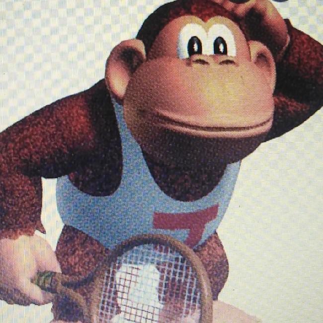 Donkey Kong junior