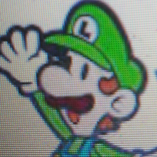 Paper. Luigi