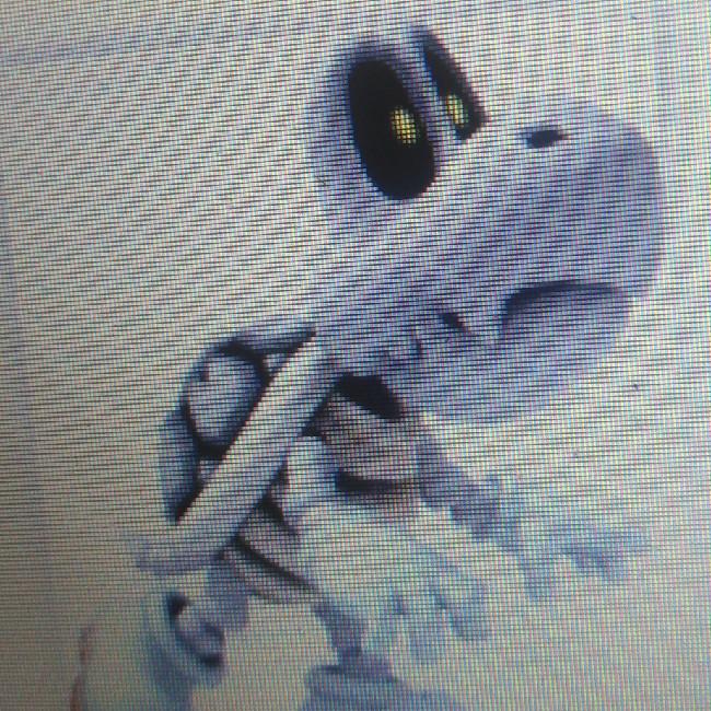 Skelerex