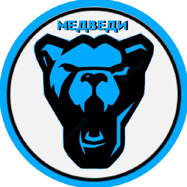 Медведи Пинск
