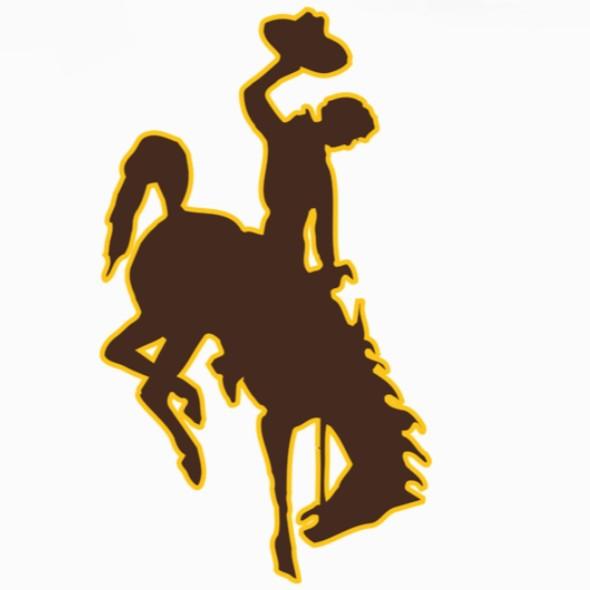 Wyoming Cowboys