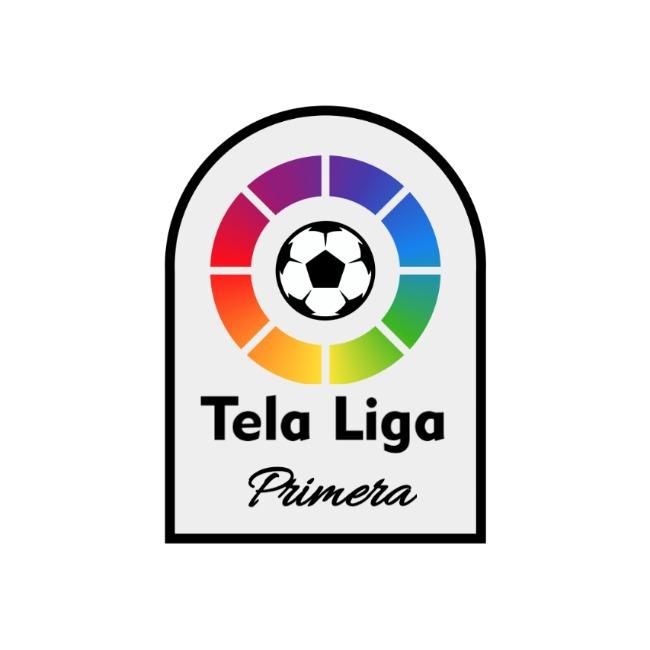 S06: TELA LIGA PRIMERA