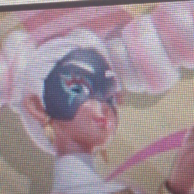 Twintelle