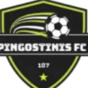 Pingostinis