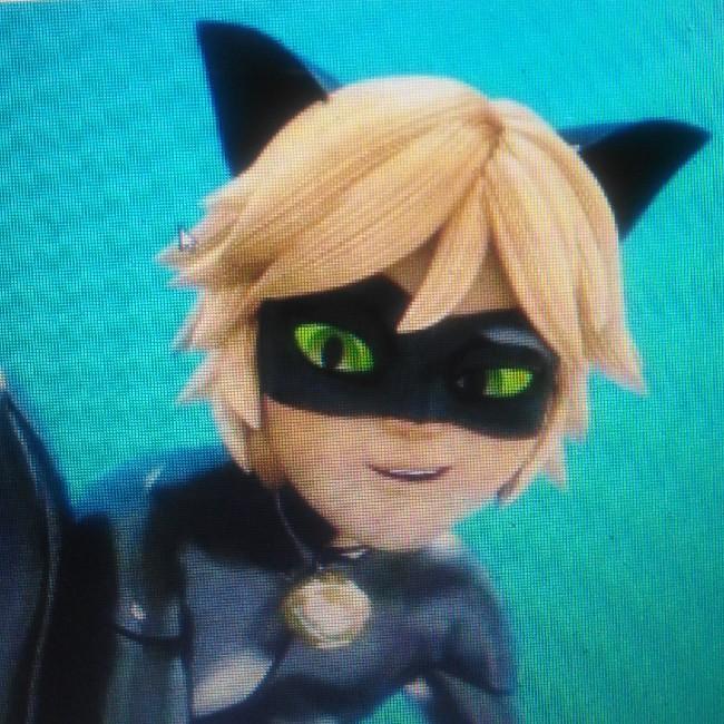Chat Noir