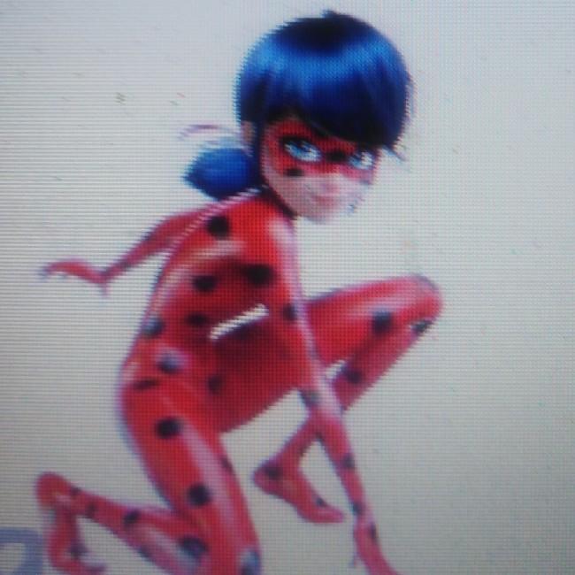 Ladybug