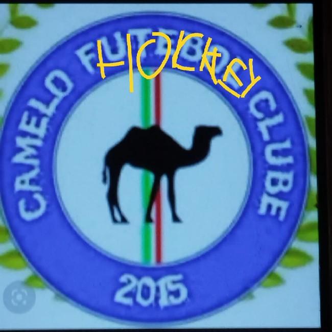 Camelo hockey clube