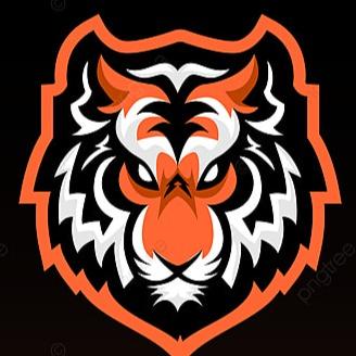 Os Tigres (Time F)