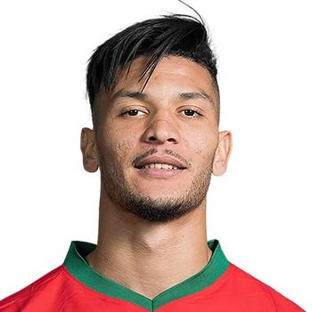 Achraf Dari