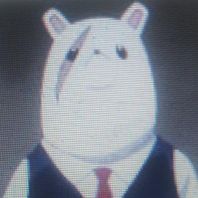 Nezu