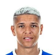 Amine Harit