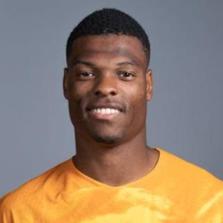 Denzel Dumfries