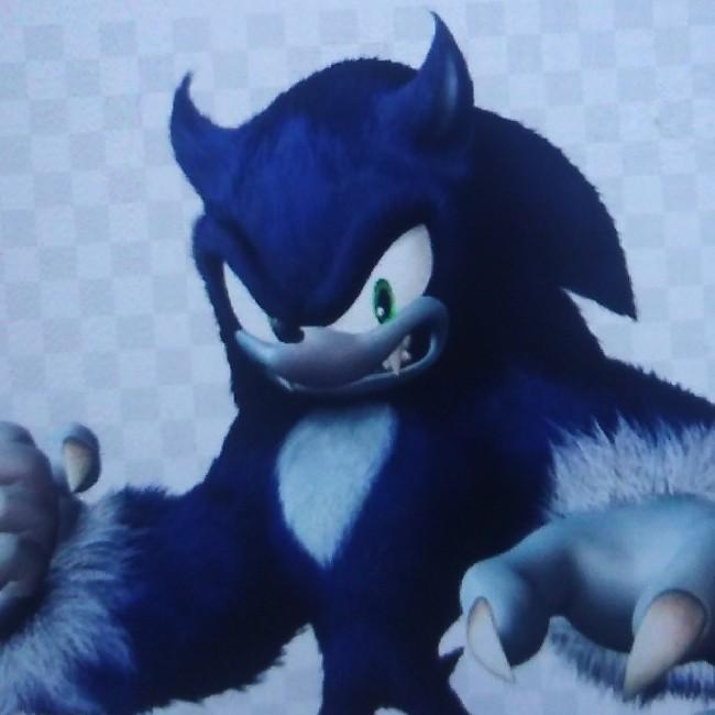 Sonic loup garou