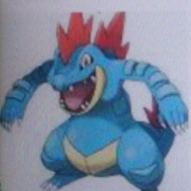 Aligatueur