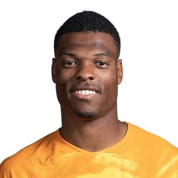 Denzel Dumfries