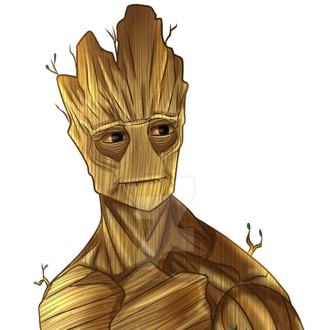 MD2. Groot. 18