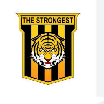 THE STONGEST