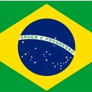 Pedro Wolf [Brasil]