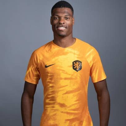 Denzel Dumfries