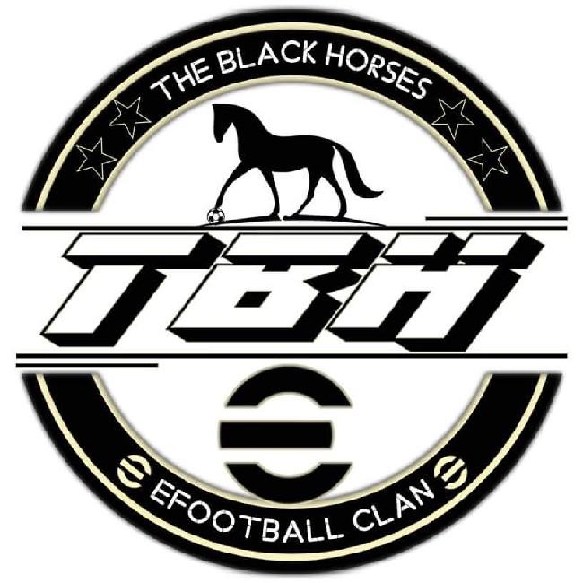 THE BLACK HORSES