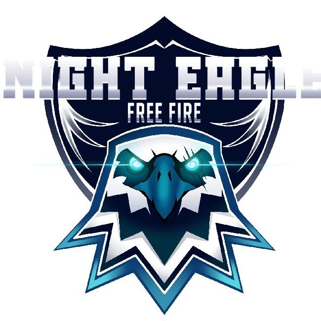 NIGHT EAGLE