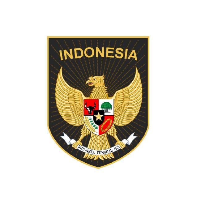 Indonesia AFF