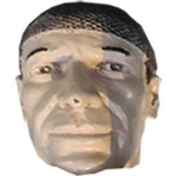 Lolo's Head