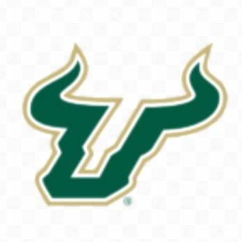 South Florida Bulls