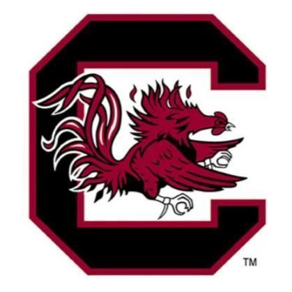 South Carolina Gamecocks