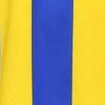 Tigres