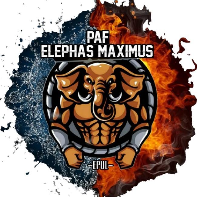 EMX • ELEPHAS MAXIMUS